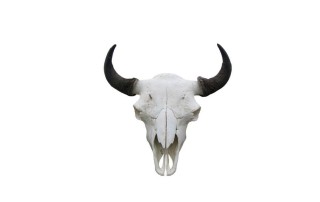 radskreis-der-haeuptlinge