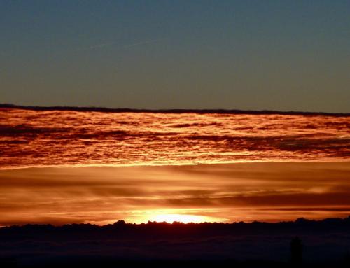 Newsletter 3 – 2026  👉 3+1 Herzensprojekte